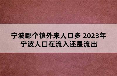 宁波哪个镇外来人口多 2023年宁波人口在流入还是流出